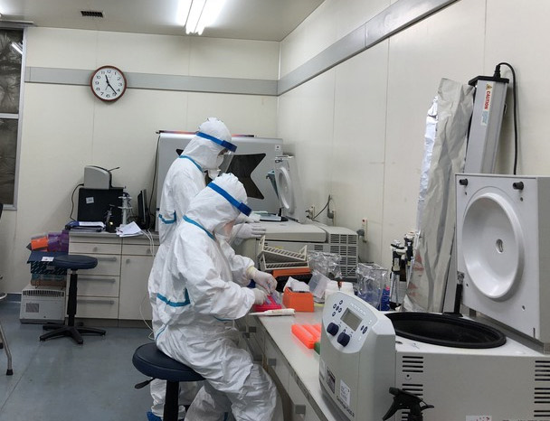 Trắng đêm, xuyên Tết tìm virus corona trong phòng xét nghiệm - 1
