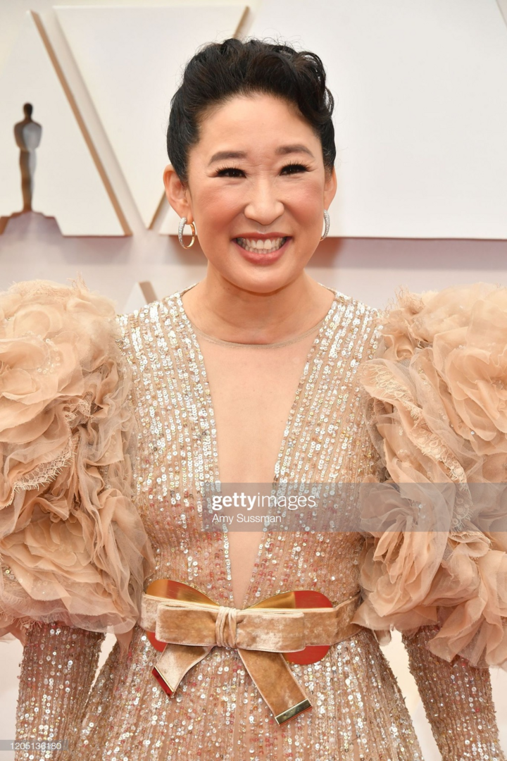‘Nữ hoàng cảnh nóng’ khoe sắc trên thảm đỏ Oscar 2020 - 11