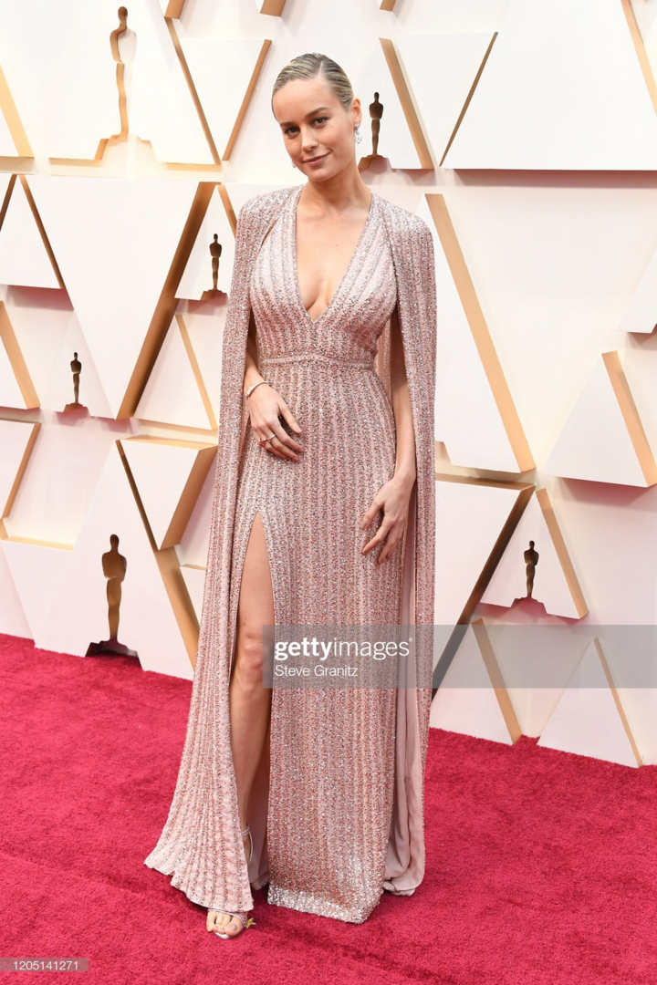 ‘Nữ hoàng cảnh nóng’ khoe sắc trên thảm đỏ Oscar 2020 - 14