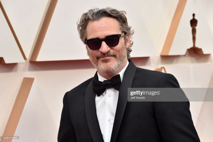 ‘Nữ hoàng cảnh nóng’ khoe sắc trên thảm đỏ Oscar 2020 - 18