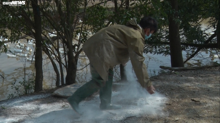 Lập chốt kiểm dịch, phun khử trùng khu vực dịch cúm A/H5N6 ở Hà Nội - 2