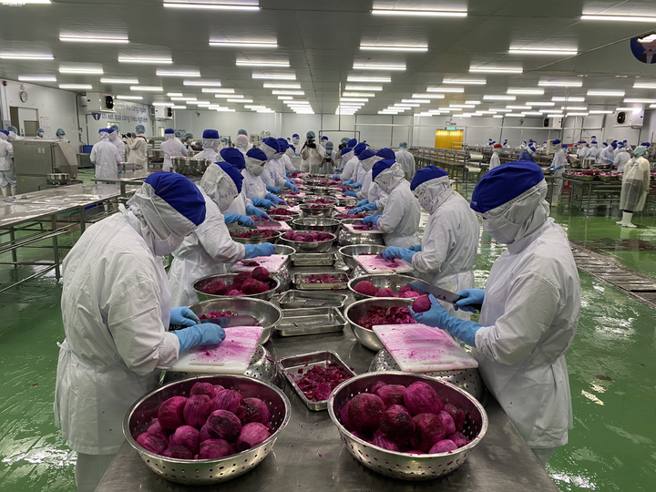 Bộ trưởng Nông nghiệp: 'Doanh nghiệp mua thanh long giá 12.000 đồng/kg là quá biết ơn' - 3