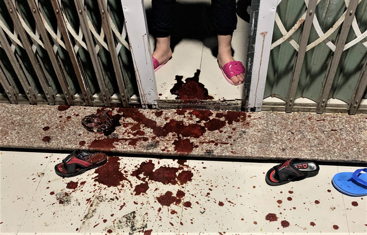 Hàng loạt vụ tạt sơn, ném chất bẩn vào nhà dân ở Đà Nẵng - 1