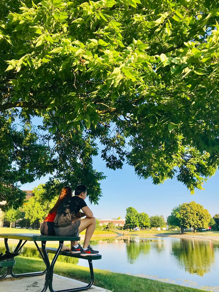 Phạm Hương, Mâu Thủy và loạt sao Việt bị chỉ trích vì hành động kém duyên nơi công cộng - 3