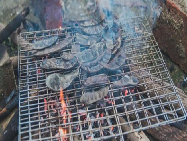 Xông bồ kết có thể diệt được Covid-19? - 1