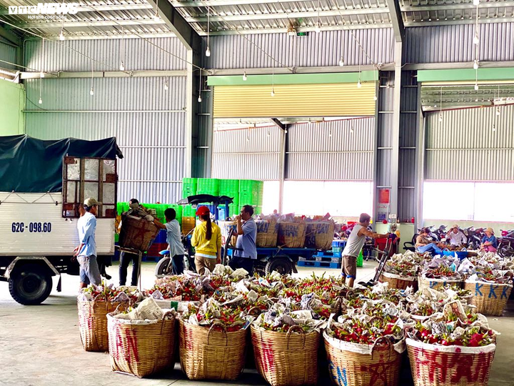 Nhiều doanh nghiệp 'đói' hàng, nông sản được 'đẩy' đi bằng đường biển - 2