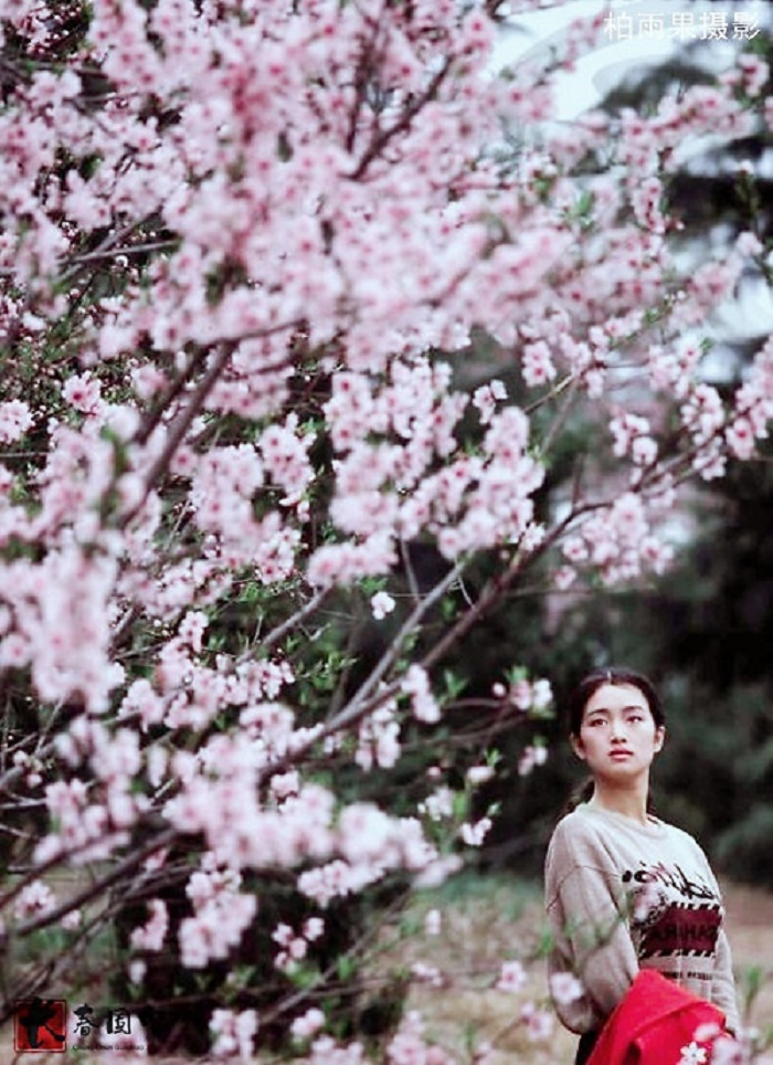 Ảnh hiếm thời tuổi trẻ của minh tinh Củng Lợi - 3