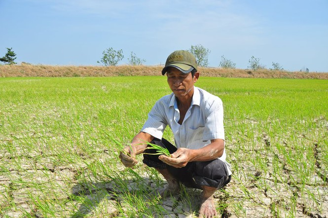 Hạn, mặn khốc liệt ở ĐBSCL: Ruộng nứt toác, kênh trơ đáy - 11