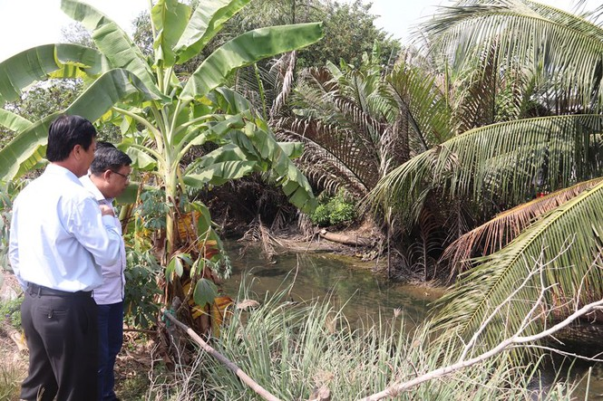 Hạn, mặn khốc liệt ở ĐBSCL: Ruộng nứt toác, kênh trơ đáy - 15