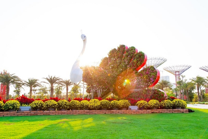 Những kỷ lục gây 'choáng' trong Lễ hội hoa Xuân lớn nhất Việt Nam - 2