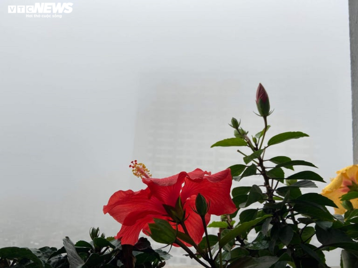 Đến 9h, sương mù vẫn đặc quánh bao trùm Hà Nội - 10