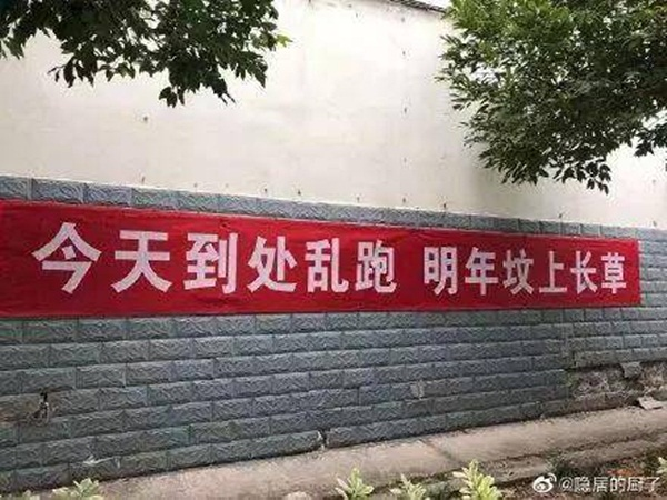 Dân mạng rần rần chia sẻ biểu ngữ 'chất lừ' chống Covid-19 - 7