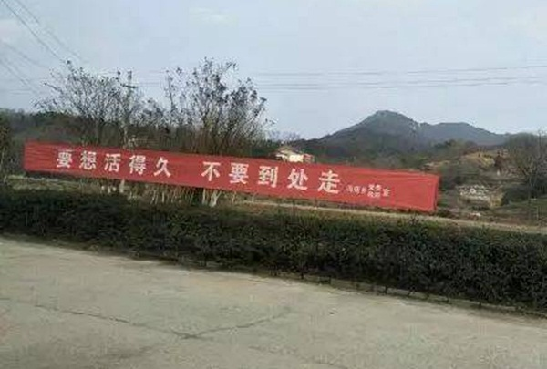 Dân mạng rần rần chia sẻ biểu ngữ 'chất lừ' chống Covid-19 - 8