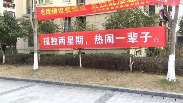 Dân mạng rần rần chia sẻ biểu ngữ 'chất lừ' chống Covid-19 - 9