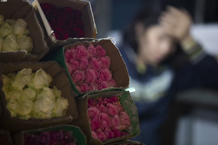 Ảnh: Chợ hoa ngày Valentine hiu hắt, giá rớt thảm hại - 3