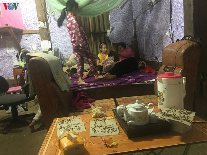 Bãi rác không được xử lý, nhà 60 hộ dân Bắc Kạn bị ruồi nhặng vây kín - 1