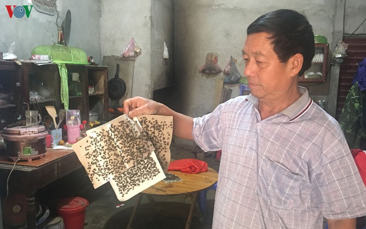 Bãi rác không được xử lý, nhà 60 hộ dân Bắc Kạn bị ruồi nhặng vây kín - 2