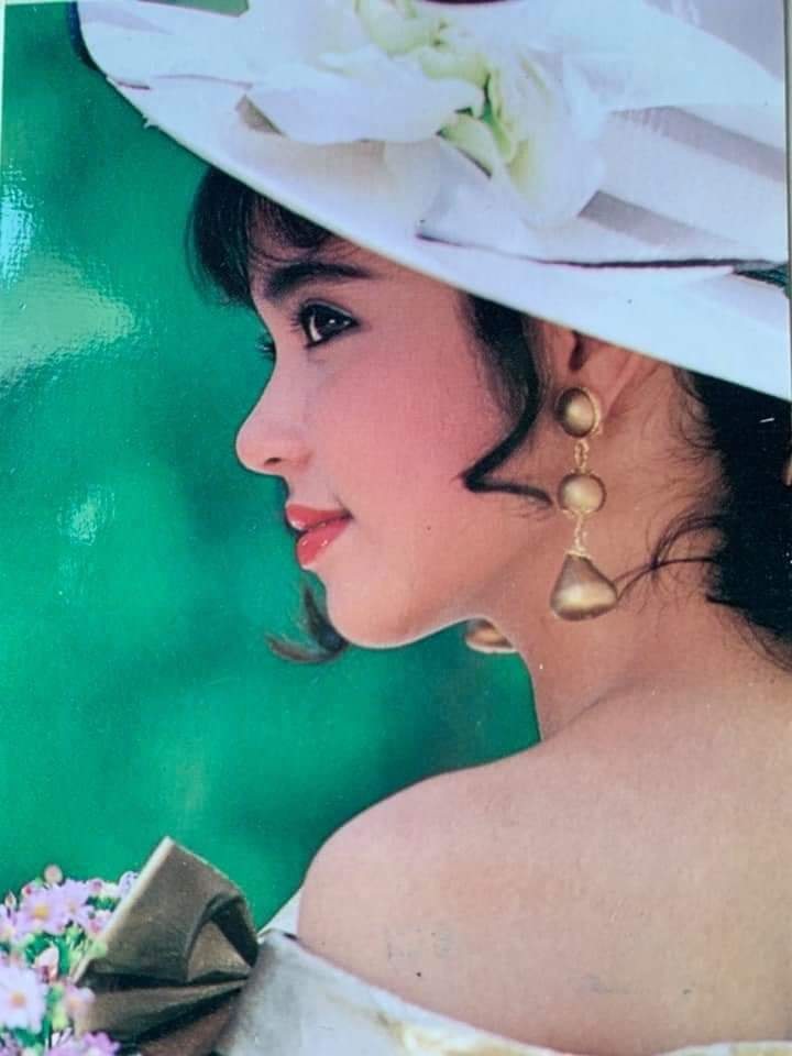 Vẻ đẹp thời thanh xuân của nữ diễn viên Việt Trinh - 7