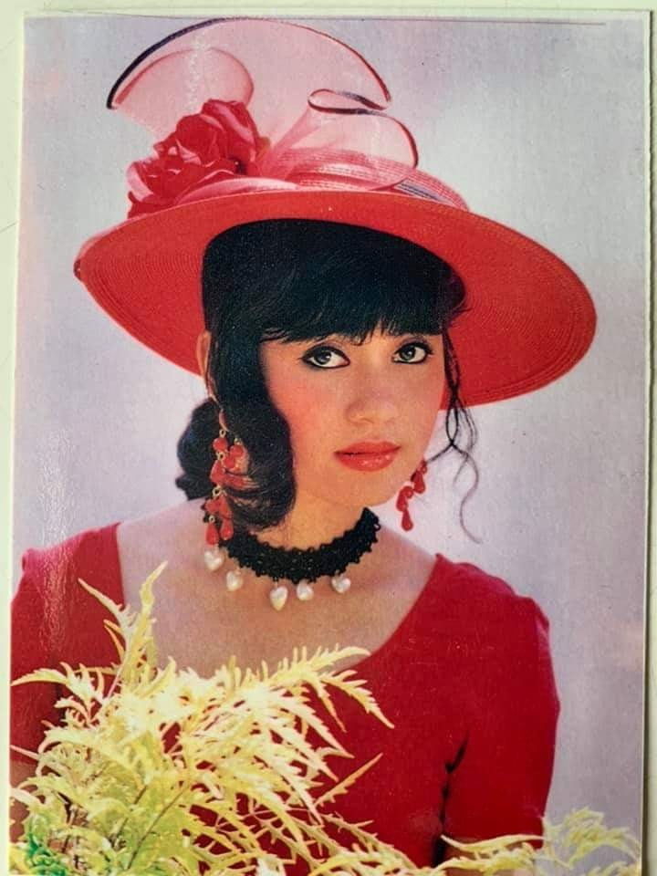 Vẻ đẹp thời thanh xuân của nữ diễn viên Việt Trinh - 9