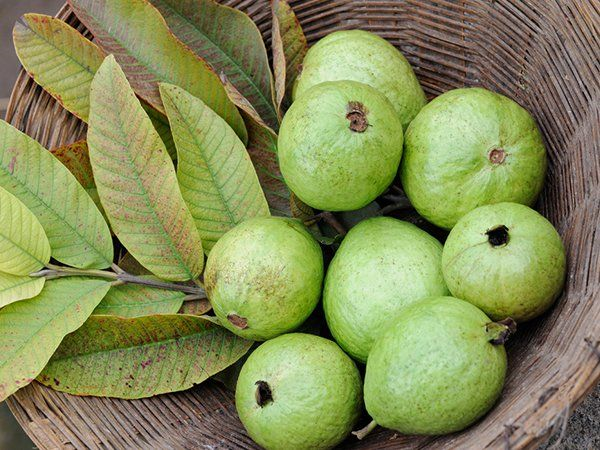 5 loại trái cây giúp bạn giảm cân siêu tốc - 4