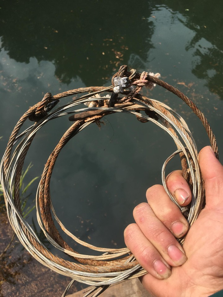 Kẻ xấu đặt hơn 300 chiếc bẫy, xẻ thịt trâu bò ngay trong khu bảo tồn ở Hà Tĩnh - 2