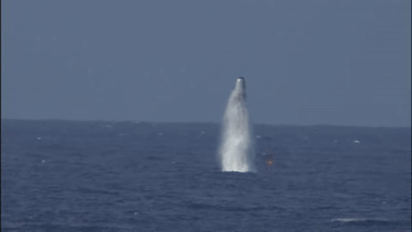 Mỹ phóng thử tên lửa đạn đạo Trident II từ tàu ngầm - 1