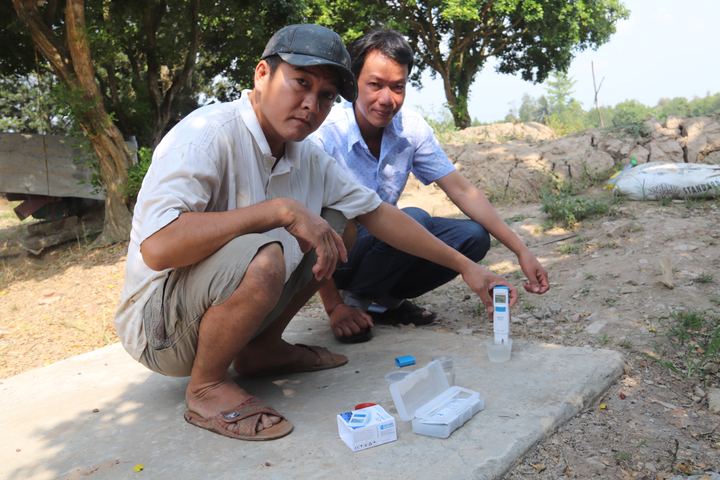 Hạn mặn khốc liệt, nhà vườn miền Tây thuê sà lan chở nước ngọt cứu sầu riêng - 5