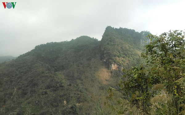  Ký ức Vị Xuyên và tâm nguyện của vị tướng dạn dày kinh nghiệm trận mạc - 3