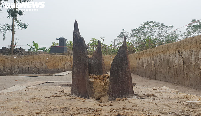 Hải Phòng lại phát lộ bãi cọc nghi liên quan đến chiến trận Bạch Đằng 1288 - 2