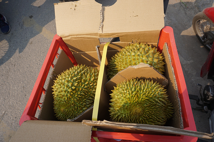 Người Hà Nội chen nhau 'giải cứu' sầu riêng - 3