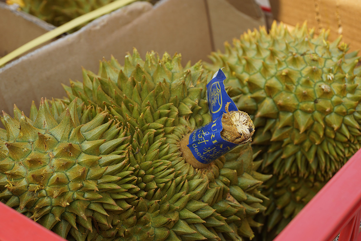 Người Hà Nội chen nhau 'giải cứu' sầu riêng - 5