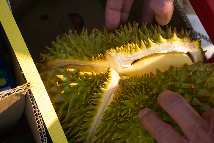 Người Hà Nội chen nhau 'giải cứu' sầu riêng - 6