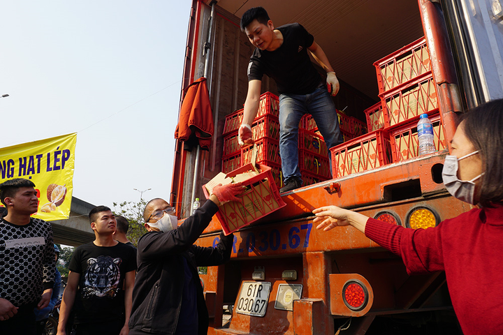 Người Hà Nội chen nhau 'giải cứu' sầu riêng - 4