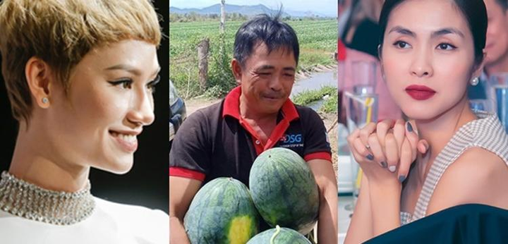 Showbiz đóng băng, hàng loạt chương trình bị hủy, sao Việt làm gì? - 10