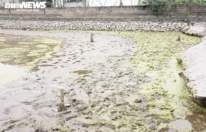 Khai quật khẩn cấp bãi cọc vừa phát lộ tại ngã ba sông ở Hải Phòng - 1