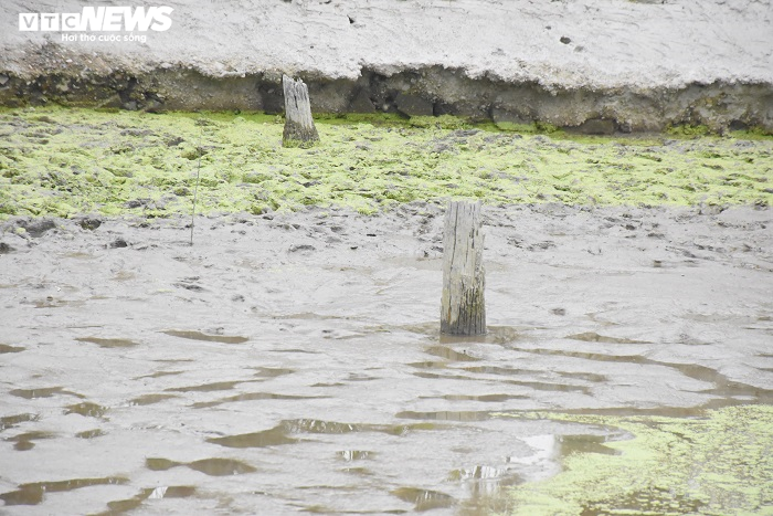 Cận cảnh 13 cọc gỗ giữa lòng sông nghi liên quan trận chiến Bạch Đằng - 14