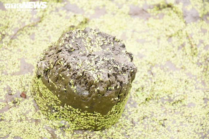 Cận cảnh 13 cọc gỗ giữa lòng sông nghi liên quan trận chiến Bạch Đằng - 7