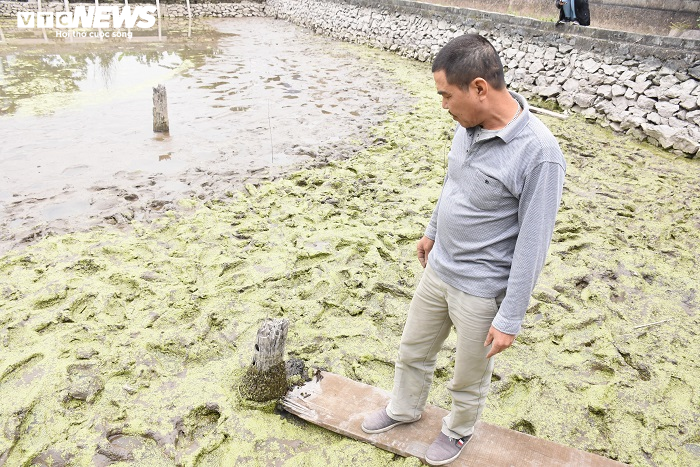 Cận cảnh 13 cọc gỗ giữa lòng sông nghi liên quan trận chiến Bạch Đằng - 11