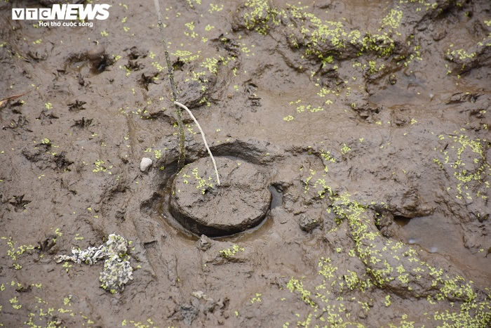 Cận cảnh 13 cọc gỗ giữa lòng sông nghi liên quan trận chiến Bạch Đằng - 9