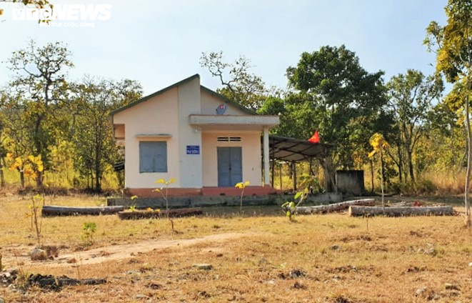 Rừng Đắk Lắk liên tục bị tàn phá sau Tết: Khởi tố vụ án hình sự - 2