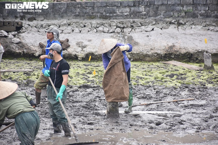 Bãi cọc vừa phát lộ có thể liên quan trận chiến của Ngô Quyền trên sông Bạch Đằng năm 938: Chuyên gia nói gì? - 3