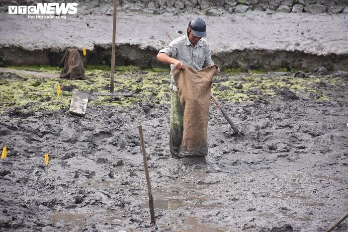 Ảnh: Khai quật bãi cọc mới phát lộ ở Hải Phòng nghi liên quan trận Bạch Đằng - 10