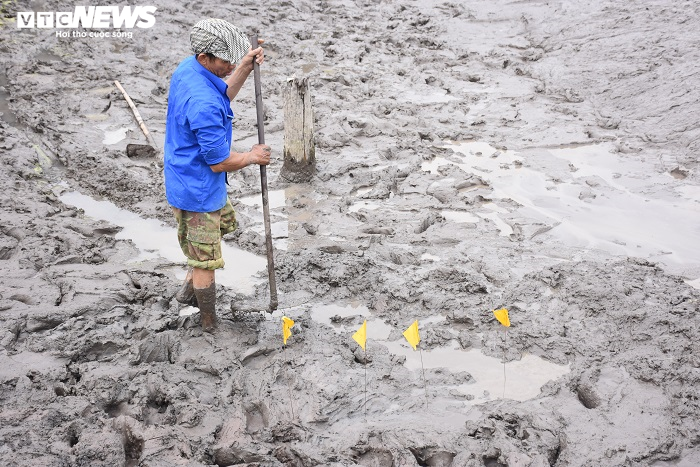 Ảnh: Khai quật bãi cọc mới phát lộ ở Hải Phòng nghi liên quan trận Bạch Đằng - 4