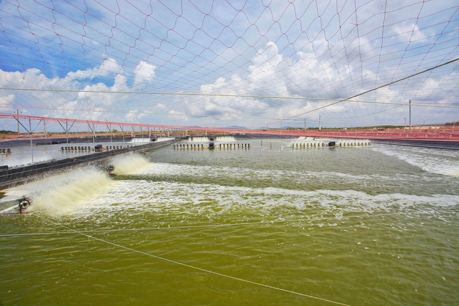 Gia đình bà Chu Thị Bình sắp nhận gần 160 tỷ đồng tiền mặt - 1