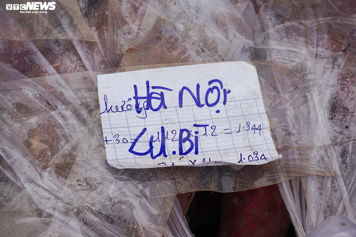 Khoai lang ngổn ngang trên vỉa hè Hà Nội, chờ khách 'giải cứu' - 9