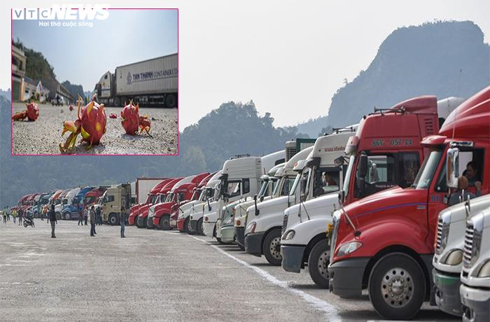 Tham gia 13 FTA, sao năm nào cũng cứ phải 'giải cứu' nông sản? - 2