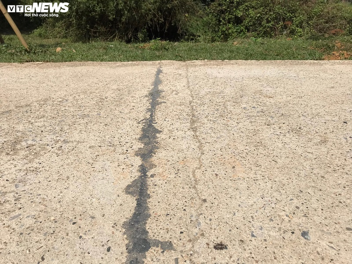 Đường chục tỷ đồng vào lăng vua chưa dùng đã hỏng và sự biến mất kỳ lạ của 2 cây thông cổ - 6