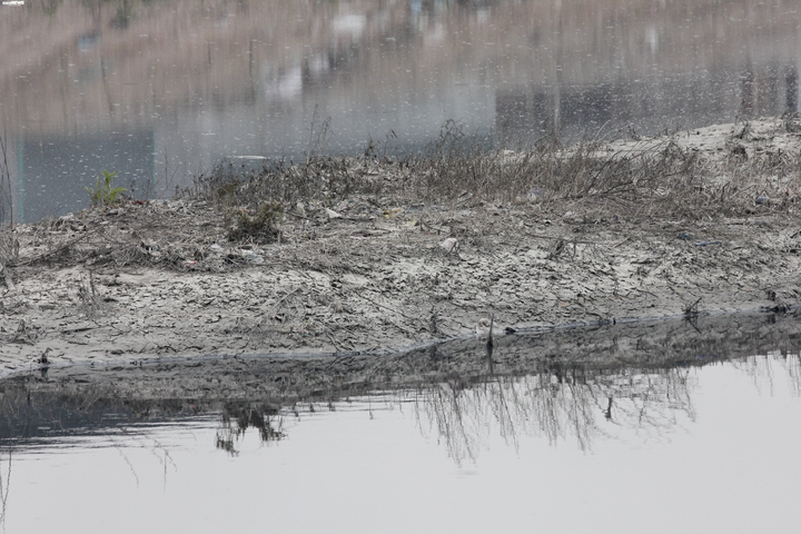 Cận cảnh dòng sông bị làng nghề giấy 'bức tử', tôm cá không thể sống sót - 7