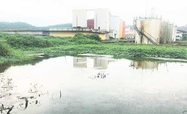 Nhà máy cồn bốc mùi thối ở Quảng Nam: Tỉnh cho phép hoạt động, dân cương quyết ngăn cản - 1