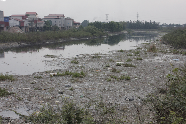 Cận cảnh dòng sông bị làng nghề giấy 'bức tử', tôm cá không thể sống sót - 10